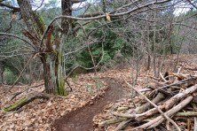 ChantDesSentes11@LiseMazin